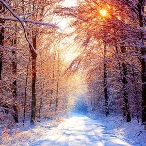 Ах, ты, зимушка−зима