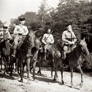 Ехали казаки домой