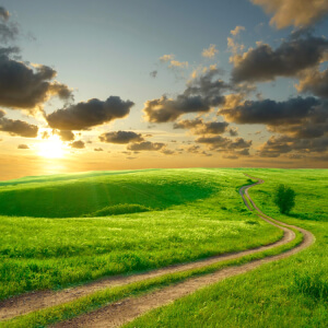 По чужой стороне перепёлкою