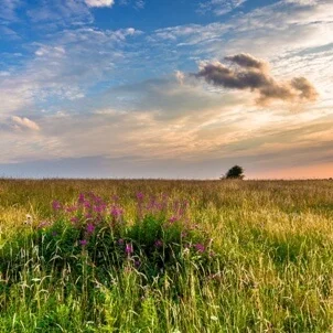 Степь да степь кругом