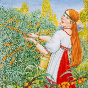 Бурёнка Даша: Во саду ли в огороде